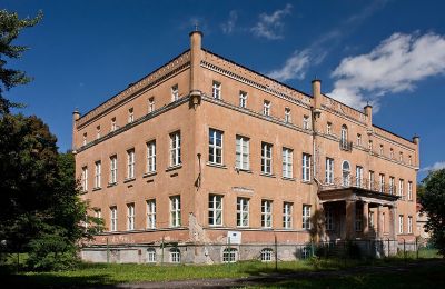 Castle for sale Dąbroszyn, Pałac w Dąbroszynie, Lubusz, Side view