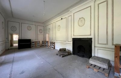 Castle for sale Dąbroszyn, Pałac w Dąbroszynie, Lubusz, © Stowarzyszenie Templum