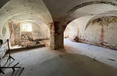Castle for sale Dąbroszyn, Pałac w Dąbroszynie, Lubusz, Basement