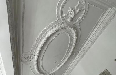 Castle for sale Dąbroszyn, Pałac w Dąbroszynie, Lubusz, Ceiling