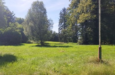 Manor House for sale Konopnica, Łódź Region, Photo 7/8