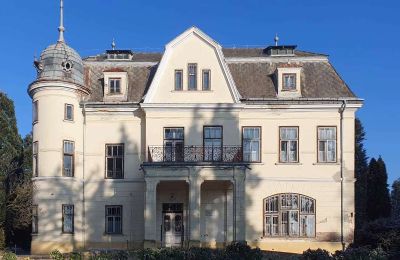 Character Properties, Manor in Hungary looking for its saviour