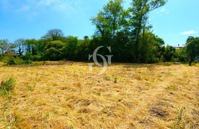 Historic Villa for sale A Guarda, Rúa Galicia 95, Galicia, Photo 32/38
