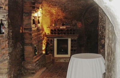 Manor House for sale 3620 Spitz, Hinterhaus 2, Lower Austria, Basement