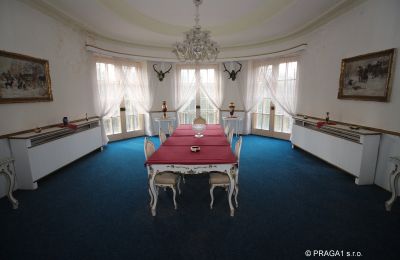 Manor House for sale Karlovy Vary, Karlovarský kraj:  Interior 1