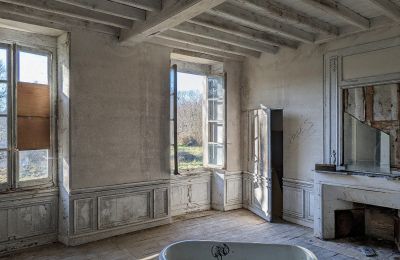 Castle for sale Saintes, New Aquitaine, Interior 1