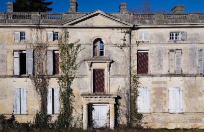 Castle for sale Saintes, New Aquitaine, Photo 1/10