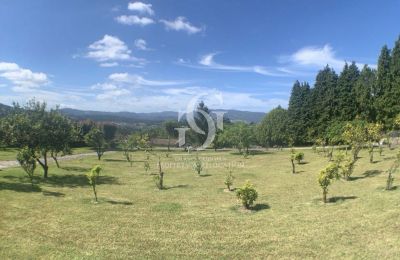 Manor House for sale Nigrán, Galicia, Photo 19/39