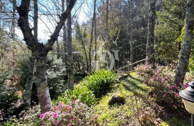 Manor House for sale 36740 Tomiño, Galicia, Photo 20/37