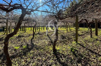 Manor House for sale 36740 Tomiño, Galicia, Photo 32/37