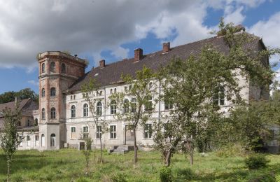 Castle for sale Cecenowo, Pałac w Cecenowie, Pomeranian Voivodeship:  
