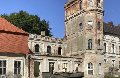 Castle for sale Cecenowo, Pałac w Cecenowie, Pomeranian Voivodeship:  Tower