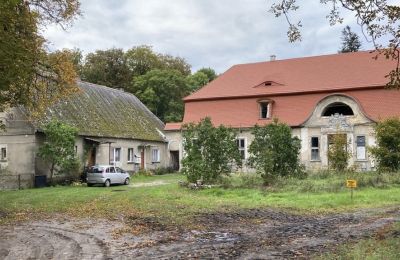 Castle for sale Cecenowo, Pałac w Cecenowie, Pomeranian Voivodeship:  