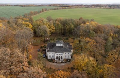 Manor House for sale Lisewo, Dwór w Lisewie, Pomerania, Drone view