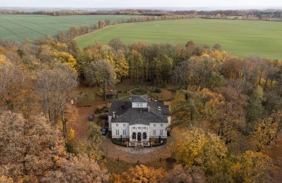 Character Properties, Classical manor in Lisewo, northwest of Gdansk