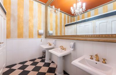 Manor House for sale Lisewo, Dwór w Lisewie, Pomerania, Photo 13/20