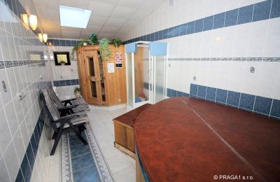 Manor House for sale Levín, Ústecký kraj, Photo 12/19
