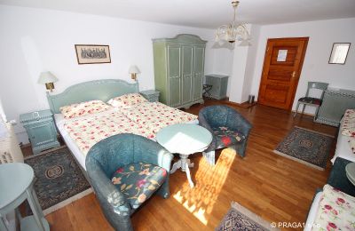 Manor House for sale Levín, Ústecký kraj, Photo 13/19