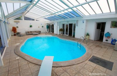 Manor House for sale Levín, Ústecký kraj, Photo 14/19