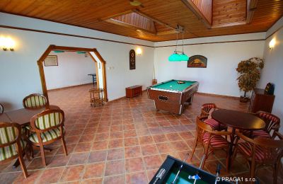 Manor House for sale Levín, Ústecký kraj, Photo 15/19