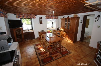 Manor House for sale Levín, Ústecký kraj, Photo 4/19