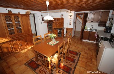 Manor House for sale Levín, Ústecký kraj, Photo 5/19