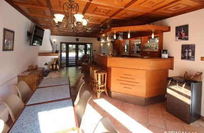 Manor House for sale Levín, Ústecký kraj, Photo 6/19
