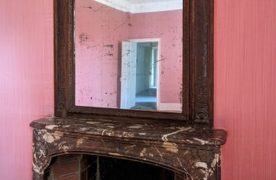 Castle for sale Châteauroux, Centre-Loire Valley, Fireplace