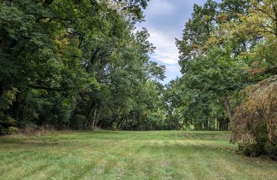 Castle for sale Châteauroux, Centre-Loire Valley, Palace Garden