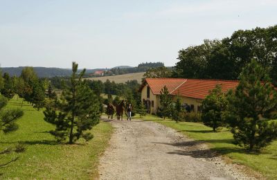 Manor House for sale Benešov, Středočeský kraj, Photo 10/10