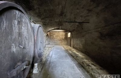 Historic villa for sale Santo Pietro Belvedere, Tuscany, Photo 12/14
