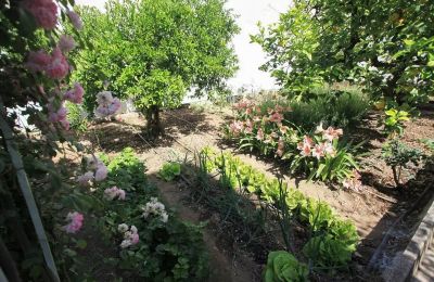 Town House for sale Oria, Via Tripoli, Apulia, Photo 27/27