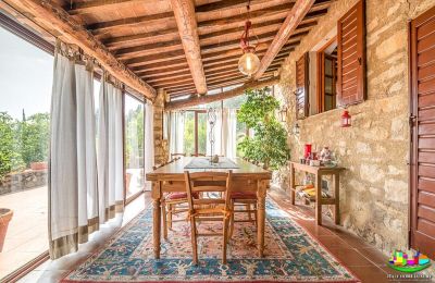 Country home for sale Livorno, Tuscany, Photo 8/16