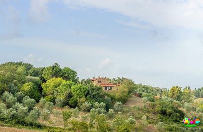 Country home for sale Livorno, Tuscany, Photo 15/16
