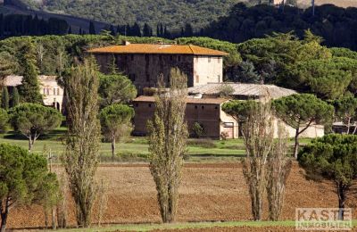 Manor House for sale Buonconvento, Tuscany, Photo 7/9
