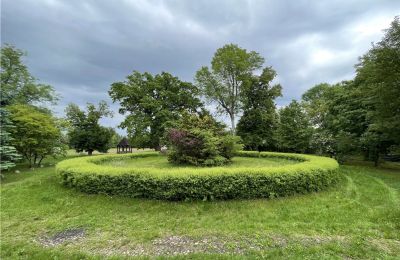 Manor House for sale Paplin, Dwór w Paplinie, Mazovia, Photo 14/20