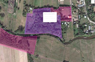 Manor House for sale Paplin, Dwór w Paplinie, Mazovia, Photo 19/20