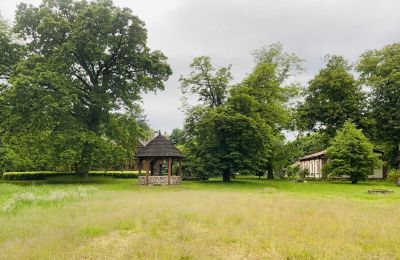 Manor House for sale Paplin, Dwór w Paplinie, Mazovia, Property