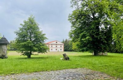 Manor House for sale Paplin, Dwór w Paplinie, Mazovia, Photo 11/20