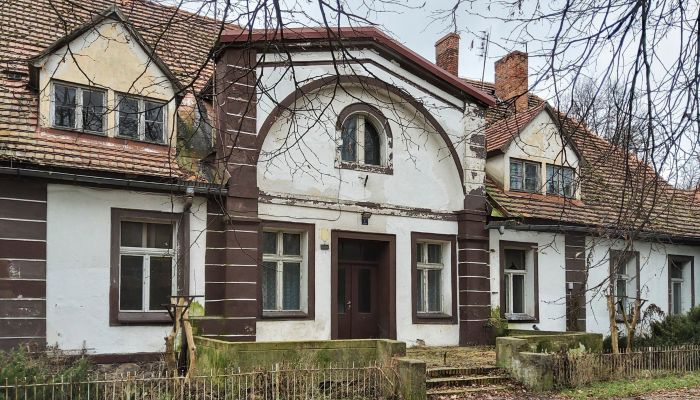  Leszno 1