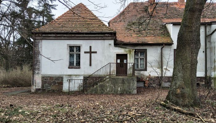  Leszno 5