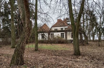 Manor House for sale Leszno, Greater Poland, Side view
