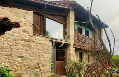 Country House for sale Villaviciosa, Asturias:  