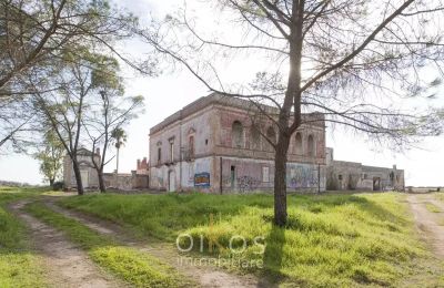 Manor house for sale Manduria, Apulia, Photo 37/38