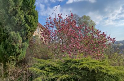 Country property for sale Lubomierz, Lower Silesia, Photo 28/29
