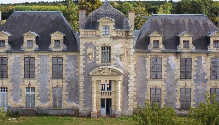 Castle for sale Loudun, New Aquitaine,  France