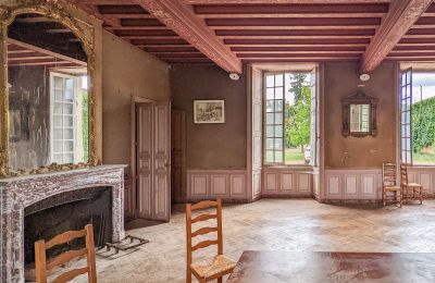 Castle for sale Loudun, New Aquitaine, Interior 1