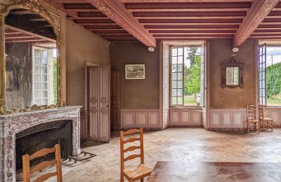 Castle for sale Loudun, New Aquitaine:  Interior 1