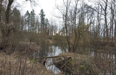 Manor House for sale Drawno, West Pomerania, Lake