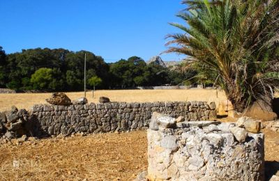 Manor House for sale Mallorca, Serra de Tramuntana, Cala Sant Vicenç, Balearic Islands, Photo 12/14
